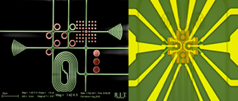 microscopic imagery